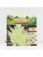 Хоста "White Feather ®", корневище в пакете с торфогрунтом, р-р I, размер SM,1 шт. - Фото 5