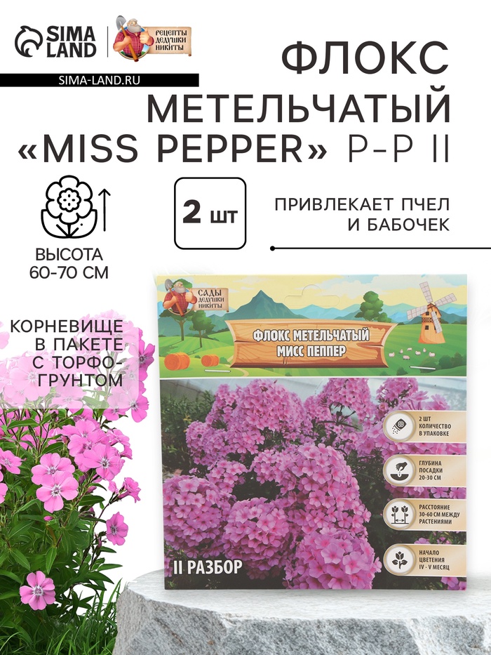 Флокс метельчтый Miss pepper корневище в пакете с торфогрунтом, р-р II, 2 шт. - Фото 1