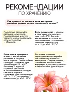 Лилейник "Vanilla With Love", р-р I, 1 шт, Весна 2025 9492073 - фото 4332764