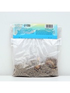 Лилия АОА гибрид November Rain, луковица в пакете с перфорацией, р-р 12/14, 2 шт. - Фото 5