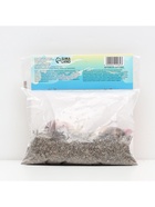 Лилии Трубчатые смотрящие вверх Orange Planet, луковица в пакете с перфорацией, р-р 12/14, 2 шт. - Фото 5