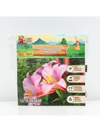 Лилии Трубчатые смотрящие вверх Pink Planet, луковица в пакете с перфорацией, р-р 14/16, 2 шт. - Фото 6