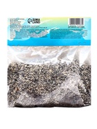 Лилии Трубчатые смотрящие вверх Pink Planet, луковица в пакете с перфорацией, р-р 14/16, 2 шт. - Фото 9