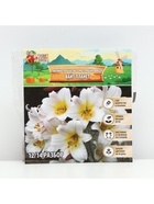 Лилии Трубчатые смотрящие вверх White Planet, луковица в пакете с перфорацией, р-р 12/14, 2 шт. - Фото 6