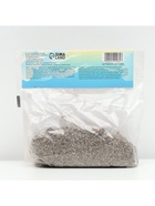 Лилии Трубчатые смотрящие вверх White Planet, луковица в пакете с перфорацией, р-р 12/14, 2 шт. - Фото 5