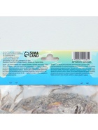 Лилии Трубчатые смотрящие вверх Yellow Planet, луковица в пакете с перфорацией, р-р 12/14, 2 шт. - Фото 7