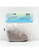 Лилии видовые Zeba, луковица в пакете с перфорацией, р-р 12/14, 2 шт. - Фото 5