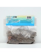 Лилия Турецкая шапочная "Spec.Var. Rubrum Uchida", р-р 12/14, 2 шт. - Фото 5