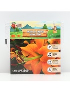 Лилия О.Т. Гибрид Orange Space, луковица в пакете с перфорацией, р-р 12/14, 2 шт. - Фото 6