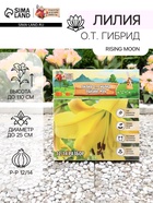 Лилия О.Т. Гибрид Rising Moon, луковица в пакете с перфорацией, р-р 12/14, 2 шт. - Фото 1