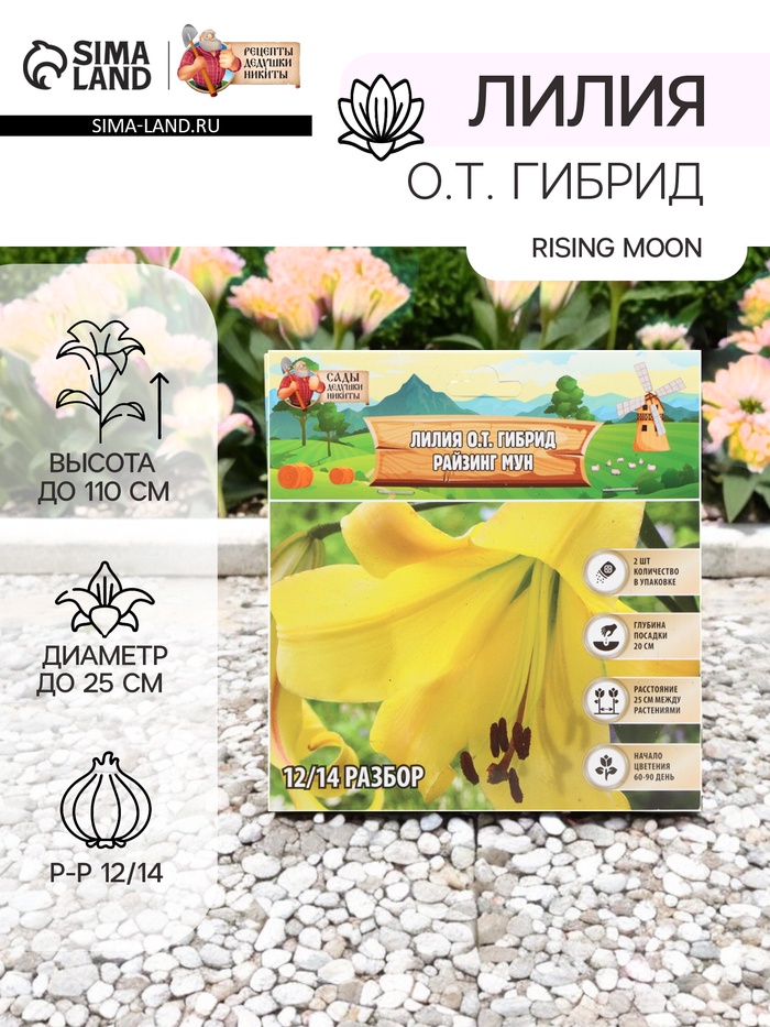 Лилия О.Т. Гибрид Rising Moon, луковица в пакете с перфорацией, р-р 12/14, 2 шт. - Фото 1