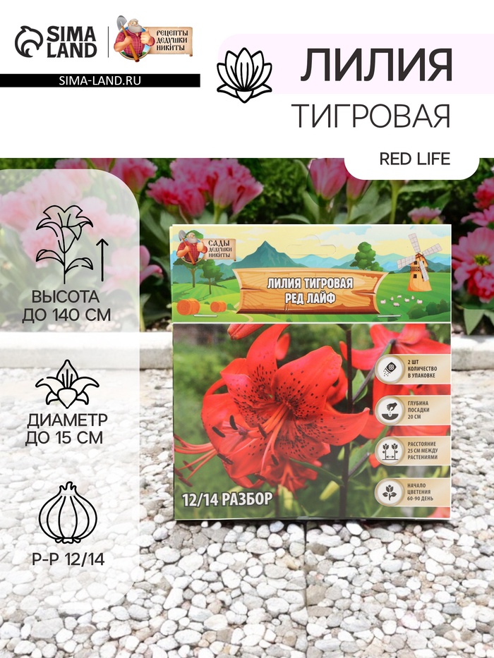 Лилия Тигровая Red Life, луковица в пакете с перфорацией, р-р 12/14, 2 шт. - Фото 1