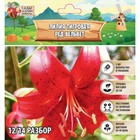 Лилия Тигровая Red Velvet, луковица в пакете с перфорацией, р-р 12/14, 2 шт. - Фото 1