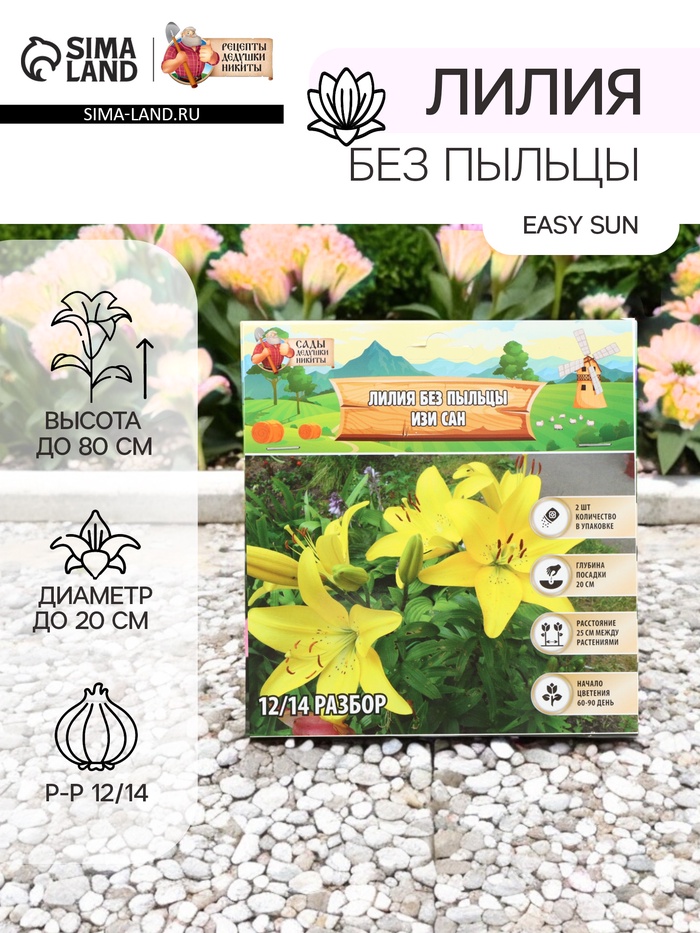 Лилия без пыльцы Easy Sun, луковица в пакете с перфорацией, р-р 12/14, 2 шт. - Фото 1