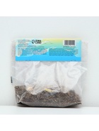 Лилия Махровая Fata Morgana, луковица в пакете с перфорацией, р-р 12/14, 2 шт. - Фото 5