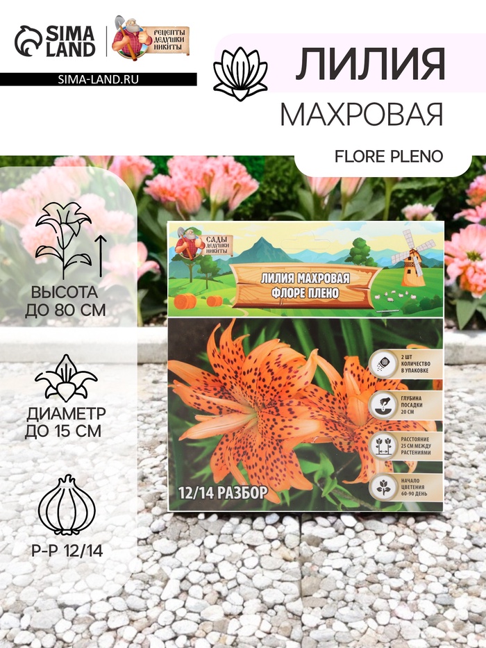 Лилия Махровая Flore Pleno, луковица в пакете с перфорацией, р-р 12/14, 2 шт. - Фото 1