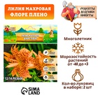 Лилия Махровая "Flore Pleno", р-р 12/14, 2 шт, Весна 2025 9492112 - фото 317926383