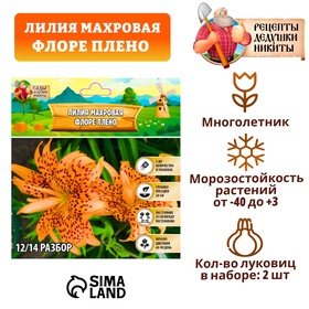 Лилия Махровая 