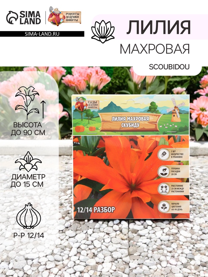 Лилия Махровая Scoubidou, луковица в пакете с перфорацией, р-р 12/14, 2 шт. - Фото 1