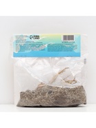 Лилия Махровая Scoubidou, луковица в пакете с перфорацией, р-р 12/14, 2 шт. - Фото 5