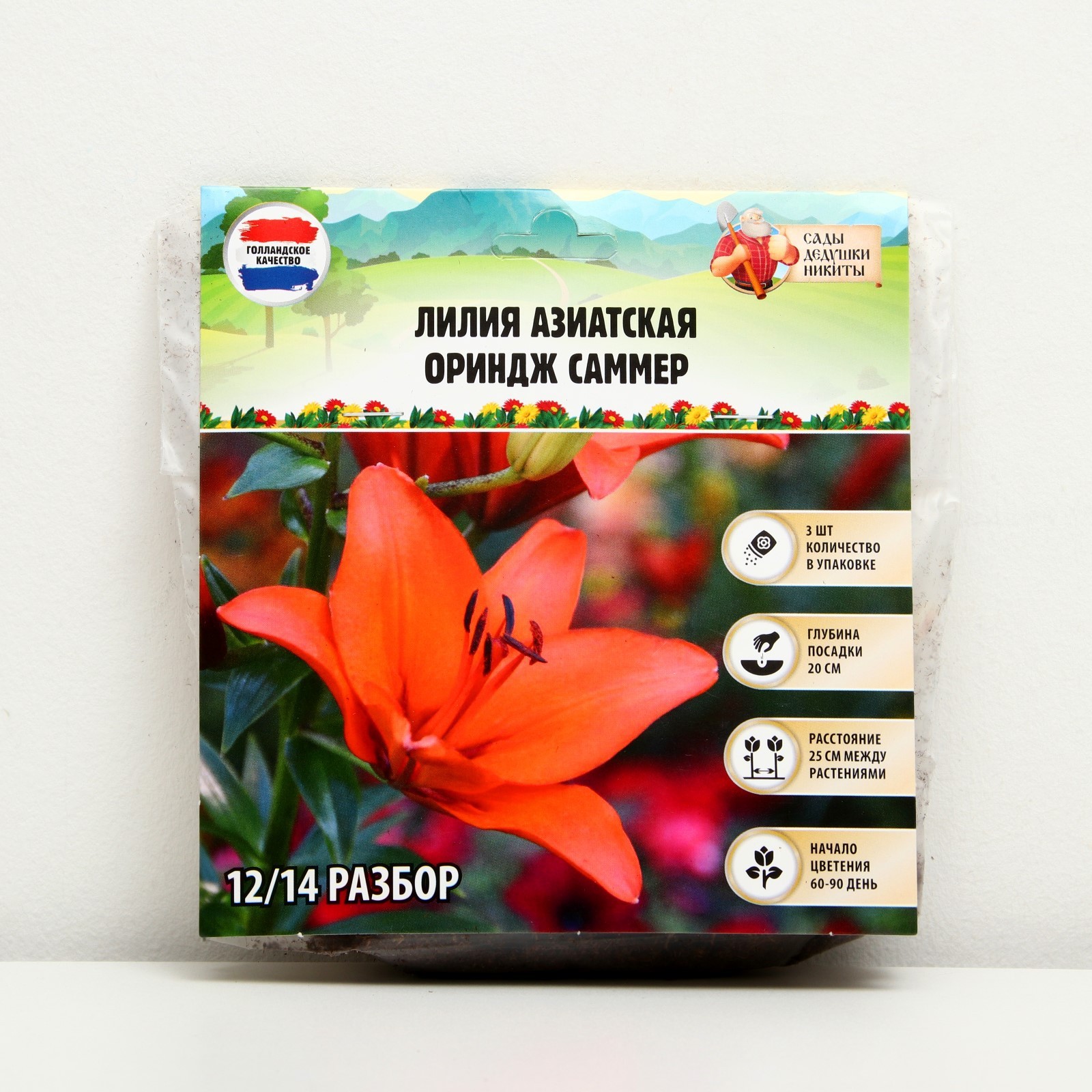 Купить Азиатские Лилии В Интернет Магазине