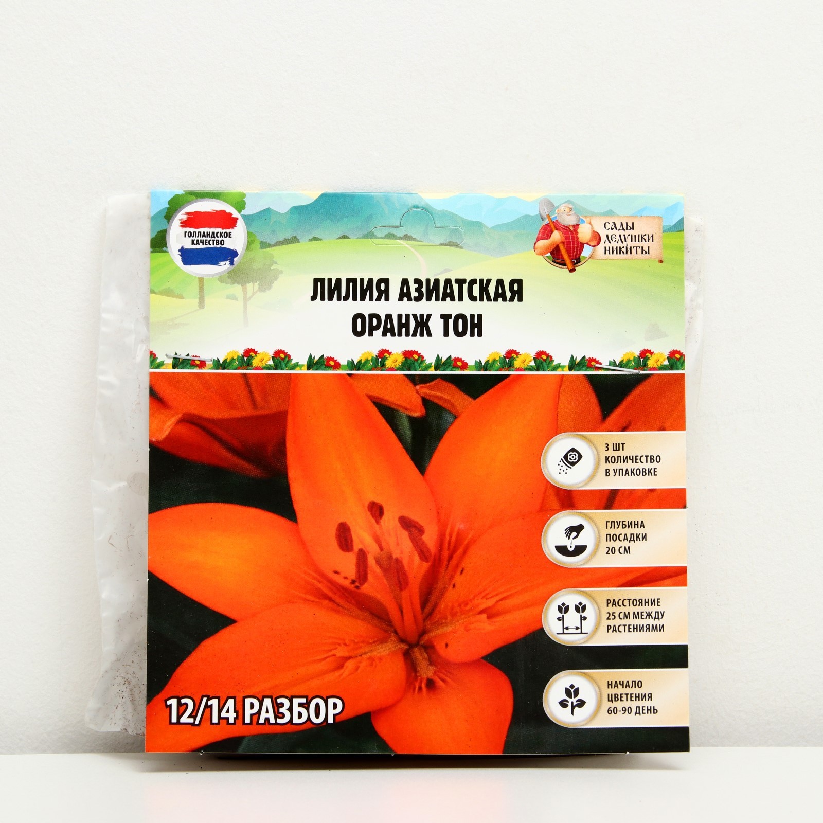 Купить Азиатские Лилии В Интернет Магазине