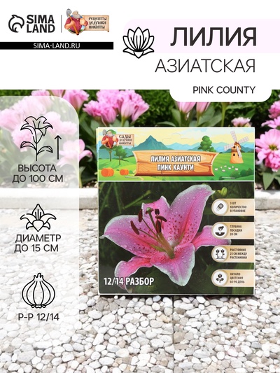 Лилия Азиатская Pink County, луковица в пакете с перфорацией, р-р 12/14, 3 шт.
