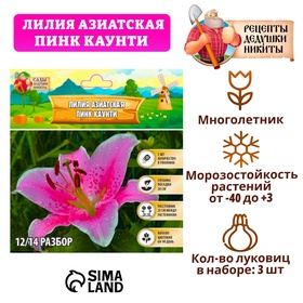 Лилия Азиатская 