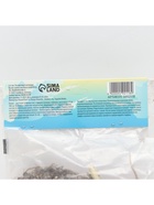 Лилия Азиатская Pink County, луковица в пакете с перфорацией, р-р 12/14, 3 шт. - Фото 7