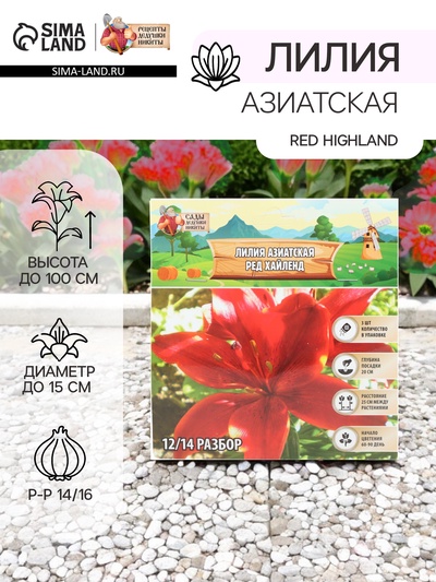 Лилия Азиатская Red Highland, луковица в пакете с перфорацией, р-р 14/16, 3 шт.