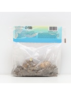 Лилия Азиатская Кашпо Cascavel, луковица в пакете с перфорацией, р-р 12/14, 2 шт. - Фото 5