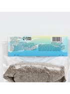 Лилия Азиатская Кашпо Curitiba, луковица в пакете с перфорацией, р-р 12/14, 2 шт. - Фото 5