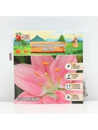 Лилия Азиатская Кашпо Foxtrot, луковица в пакете с перфорацией, р-р 12/14, 2 шт. - Фото 6