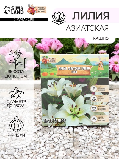 Лилия Азиатская Кашпо Gwen, луковица в пакете с перфорацией, р-р 12/14, 2 шт.