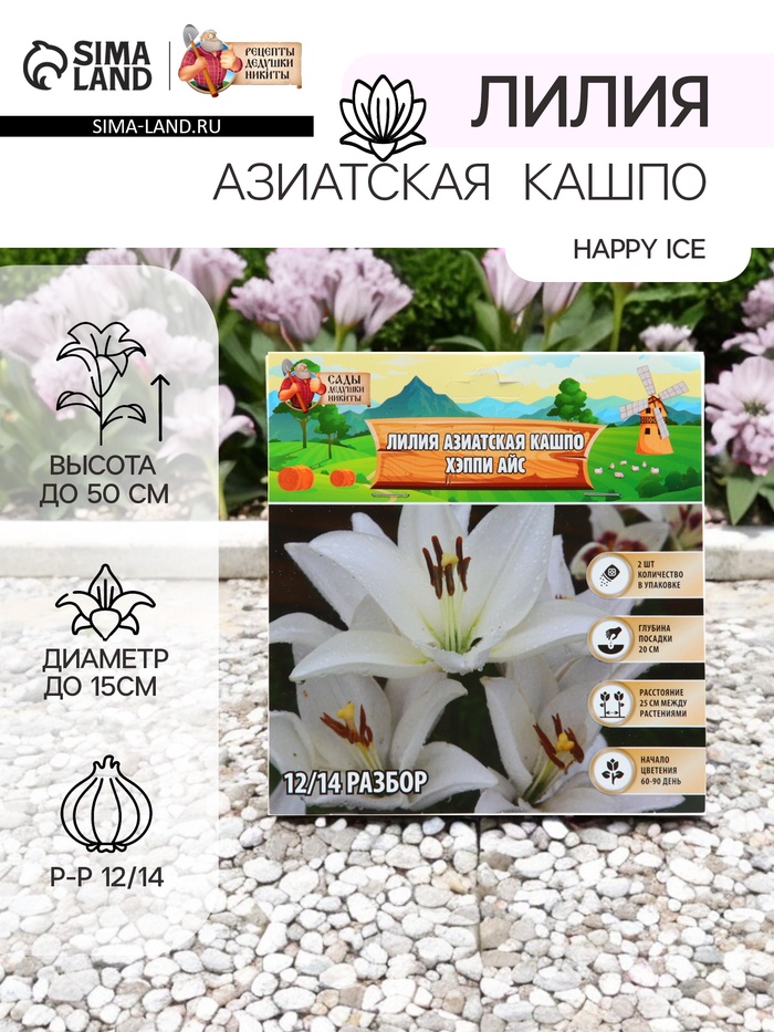 Лилия Азиатская Кашпо Happy Ice, луковица в пакете с перфорацией, р-р 12/14, 2 шт. - Фото 1