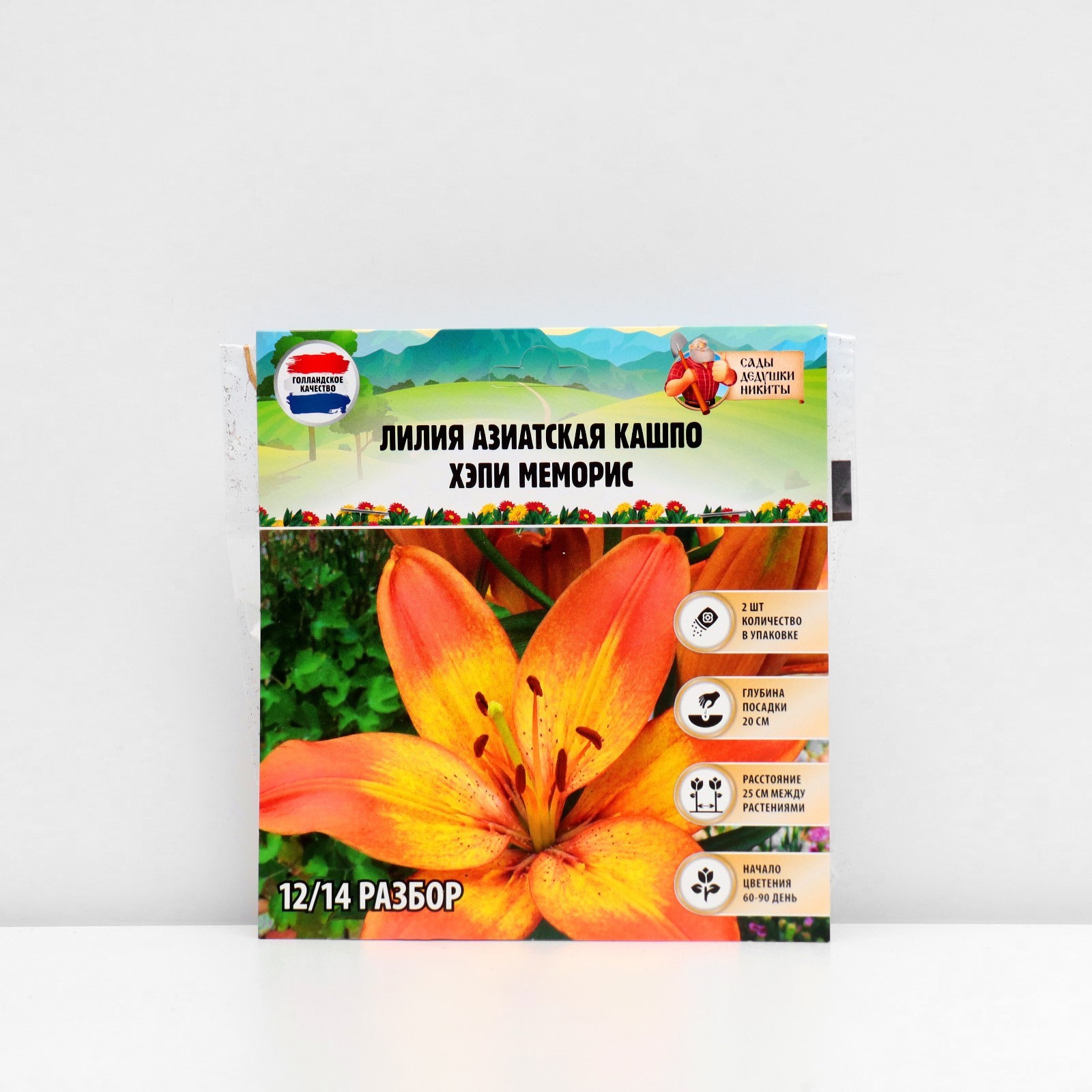 Купить Азиатские Лилии В Интернет Магазине