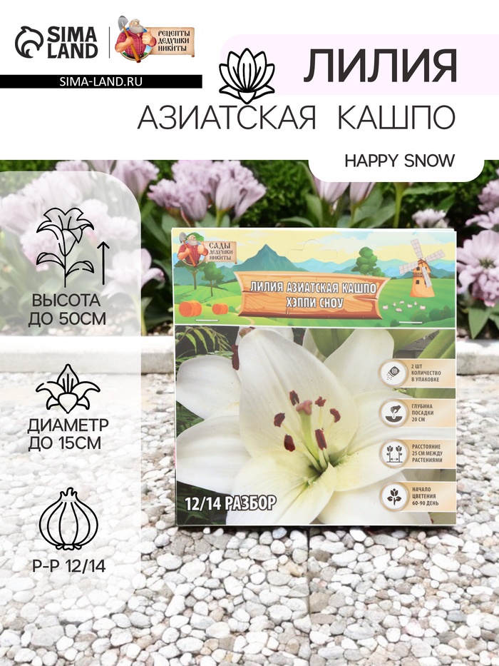 Лилия Азиатская Кашпо Happy Snow, луковица в пакете с перфорацией, р-р 12/14, 2 шт. - Фото 1
