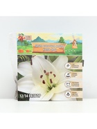 Лилия Азиатская Кашпо Happy Snow, луковица в пакете с перфорацией, р-р 12/14, 2 шт. - Фото 6