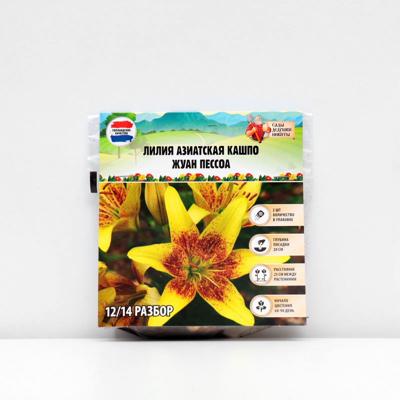 Купить Азиатские Лилии В Интернет Магазине