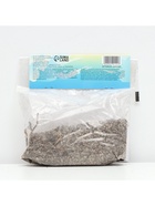 Лилия Азиатская Кашпо Trendy Santiago, луковица в пакете с перфорацией, р-р 12/14, 2 шт. - Фото 5