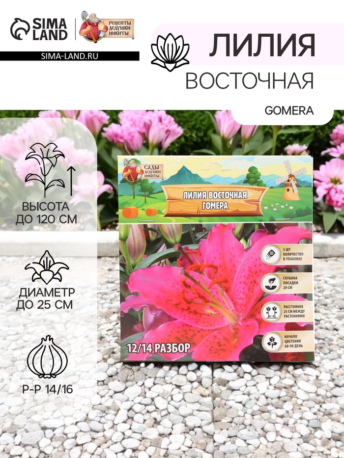 Лилия Восточная Gomera, луковица в пакете с перфорацией, р-р 14/16, 3 шт. - Фото 1