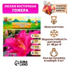 Лилия Восточная "Gomera", р-р 14/16, 3 шт, Весна 2025 9492146 - фото 317926451