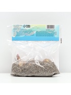 Лилия Восточная Josephine, луковица в пакете с перфорацией, р-р 12/14, 3 шт. - Фото 5