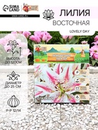 Лилия Восточная Lovely Day, луковица в пакете с перфорацией, р-р 12/14, 2 шт. - Фото 1