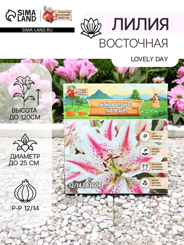 Лилия Восточная Lovely Day, луковица в пакете с перфорацией, р-р 12/14, 2 шт. - Фото 1