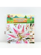 Лилия Восточная Lovely Day, луковица в пакете с перфорацией, р-р 12/14, 2 шт. - Фото 6