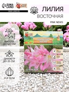 Лилия Восточная Pink News, луковица в пакете с перфорацией, р-р 12/14, 3 шт. - Фото 1