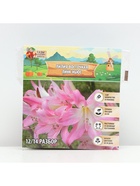 Лилия Восточная Pink News, луковица в пакете с перфорацией, р-р 12/14, 3 шт. - Фото 6