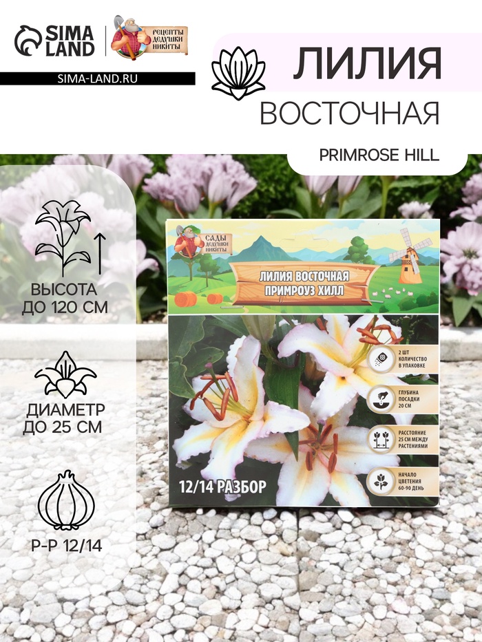 Лилия Восточная Primrose Hill, луковица в пакете с перфорацией, р-р 12/14, 2 шт. - Фото 1