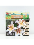 Лилия Восточная Primrose Hill, луковица в пакете с перфорацией, р-р 12/14, 2 шт. - Фото 5